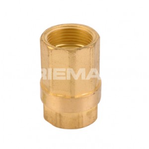 Brass Non Return Valve