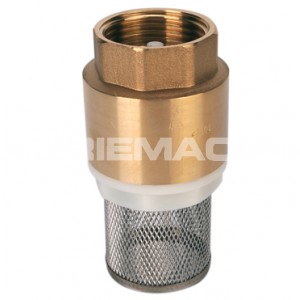 Brass Foot Valve and Strainer