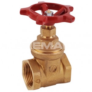 Giacomini Brass Gate Valve