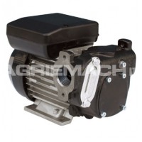 110v Electric Fuel Transfer Pumps products