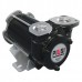 Piusi BP3000 24v & 12v Diesel Transfer Pump