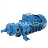 Self Priming Gear Electric Fuel Transfer Pump