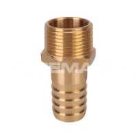 Brass BSPT Hose Tail