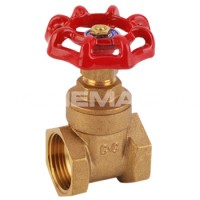 Gate Valves products